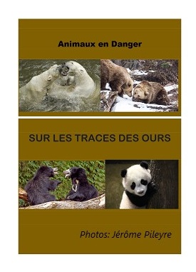 Animaux en danger - Sur les traces des ours